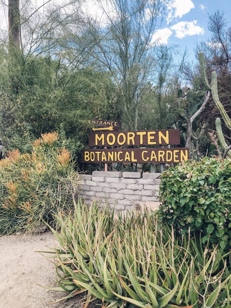 moorten botanical garden
